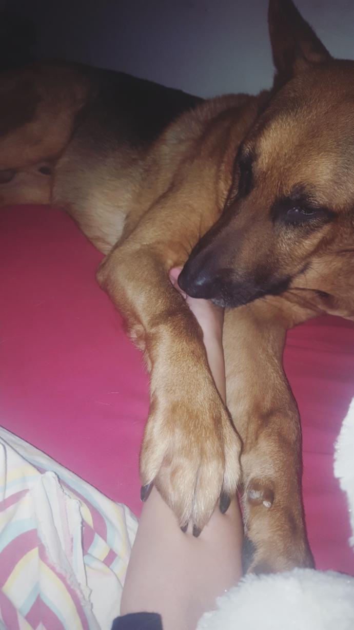 Here's a andom picture of my dog because he means the world to me ❤