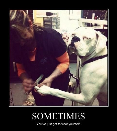 Being a dog bather is fun and frustrating.