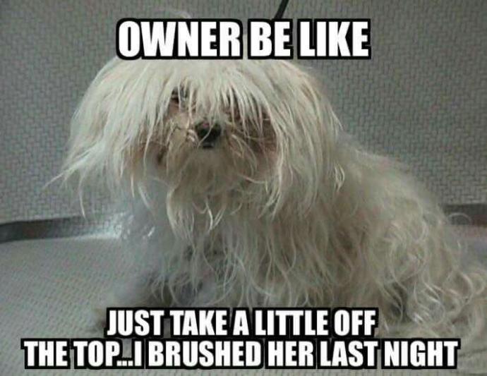 This happens A LOT.