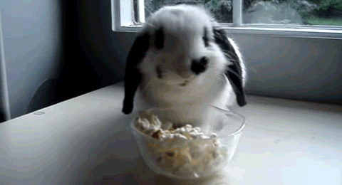 Reality Check for Short Girls