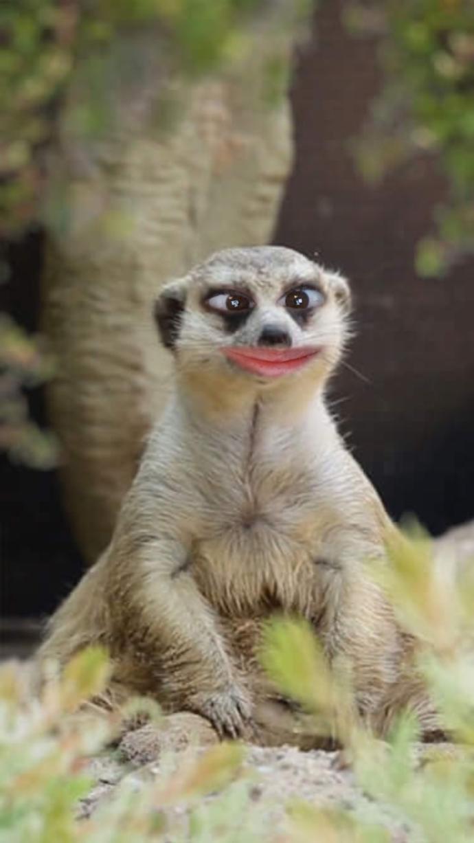 Why I love snapchat filters