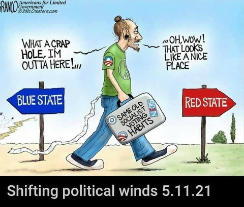 Signs That Stupidity Has Taken Over the World