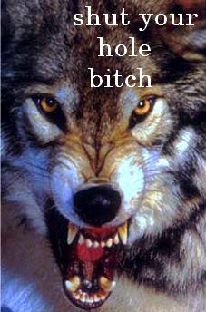 5 Reasons Why I HATE Dogs and Why They Are Terrible Creatures