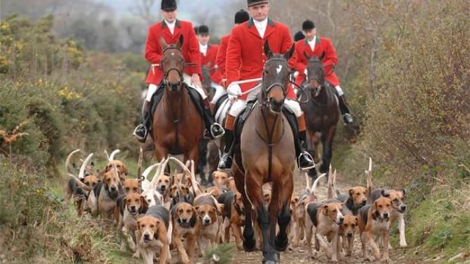 What is England Really Like? Part II