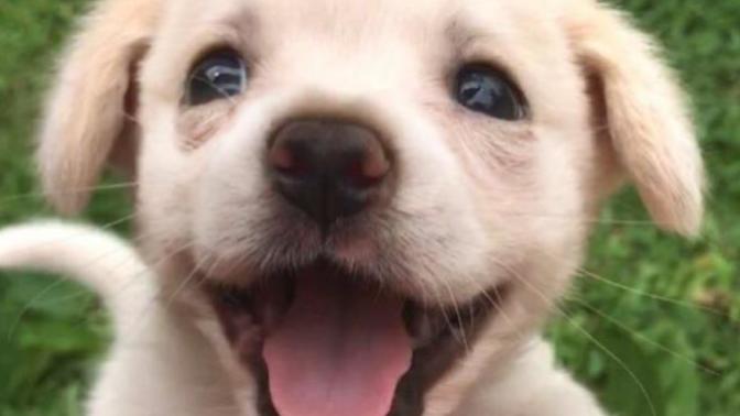 7 Ways to Include Positivity In Your Life