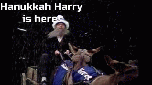 Hanukkah Harry