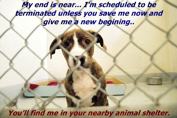 Who Else is Willing to Save a Life and Give a Future This Holiday Season?