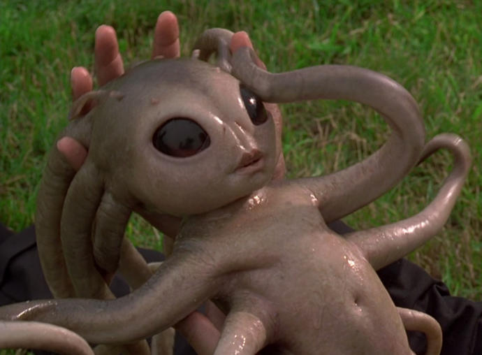 What infants looks like to me