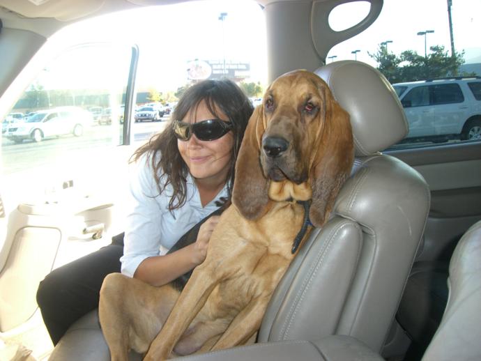 Understanding Love and Loss of a Pet