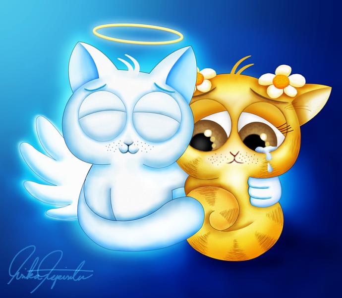 Understanding Love and Loss of a Pet