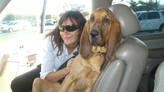 Understanding Love and Loss of a Pet