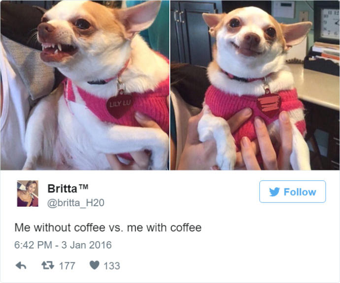 I Am Not a Morning Person