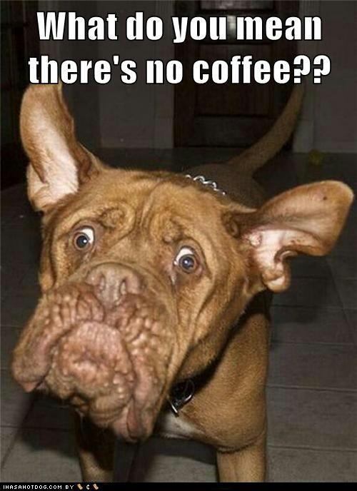I Am Not a Morning Person