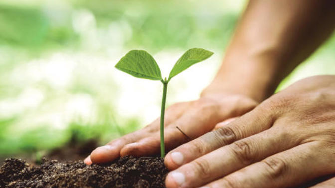 How to Save The Planet