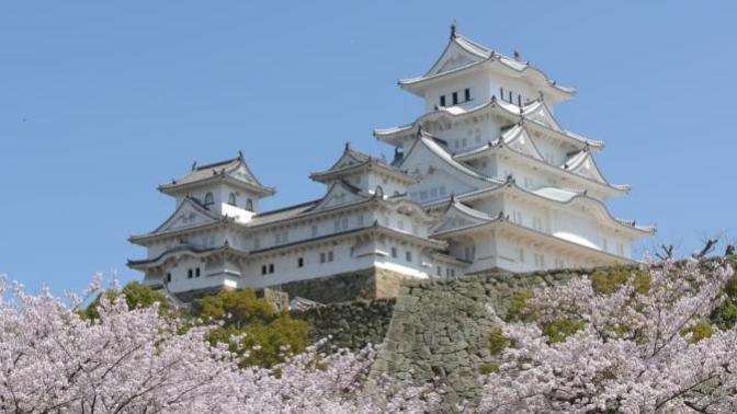 Tips for an Enjoyable First Visit to Japan