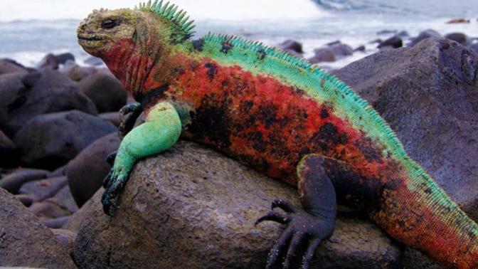 5 Of The World's Coolest Things
