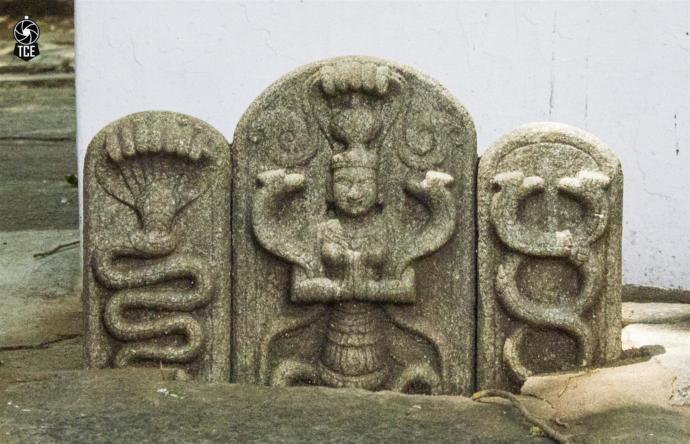 WOMEN ARE EVIL! KEEP YOUR CHASTITY AND GO MGTOW!