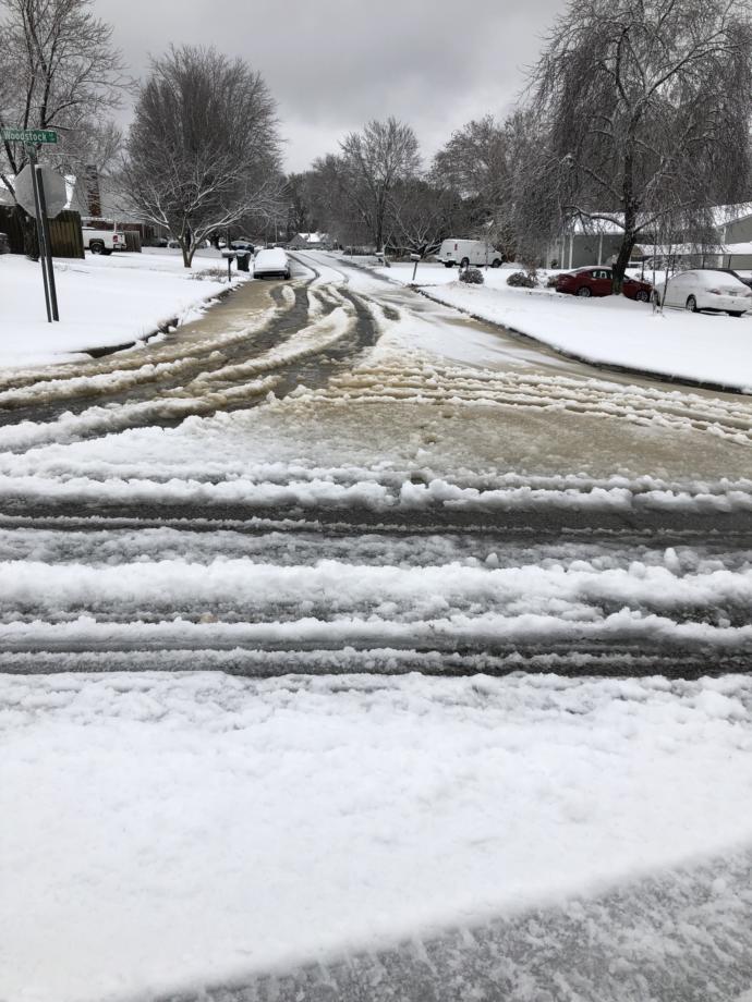 A Southern Winter Wonderland: Winter Storm Diego Ravages NC, SC, TN, and VA
