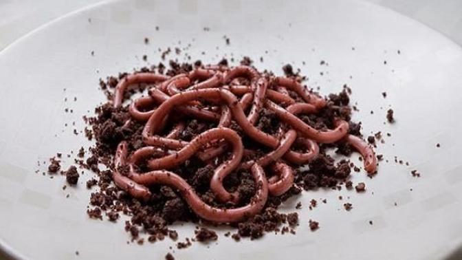 6 Indonesian Extreme Culinary, Dare to Try?