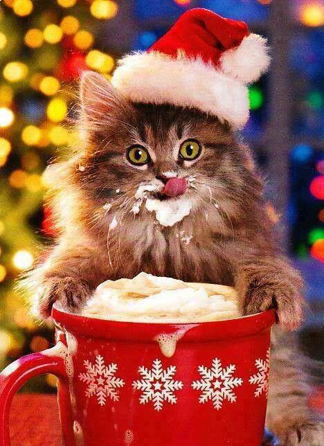Include a caption for your image…