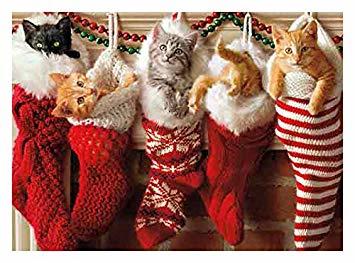 Look at these pawdorable Christmas Kitties!
