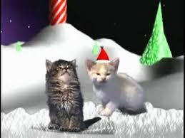 Look at these pawdorable Christmas Kitties!