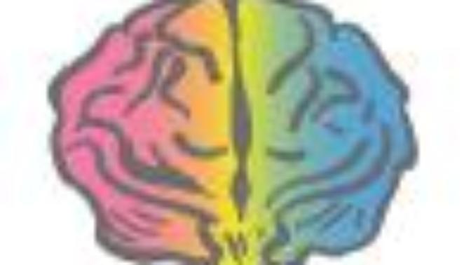 The Possibility Of Sequential Hermaphroditism In Humans