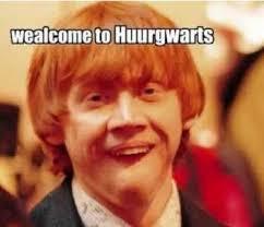 Harry Potter's Racism