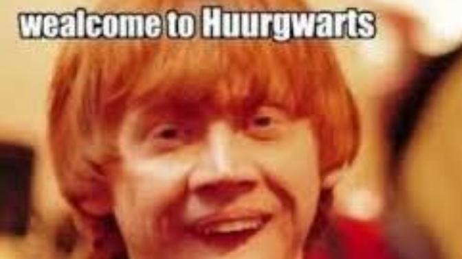 Harry Potter's Racism