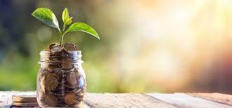 If I plant a 5 dollar bill, do you think it will grow a money tree?