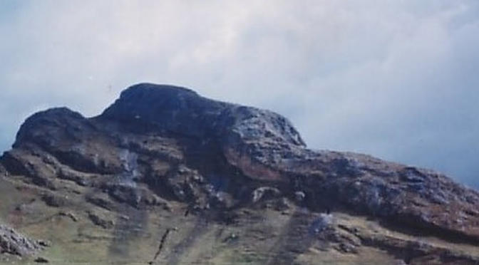 Bible The True Story Of The Flood