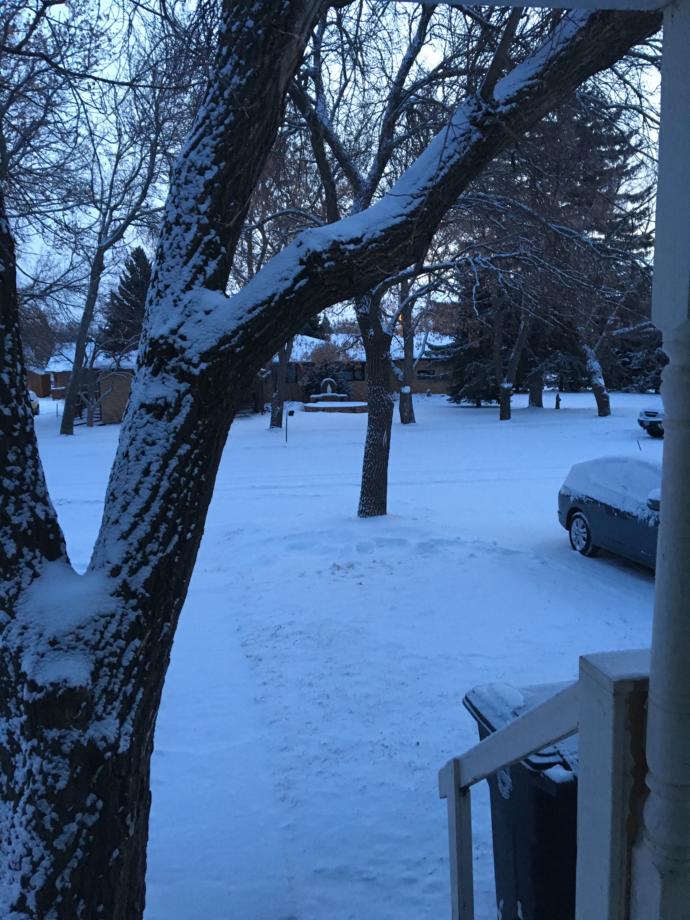 Walking In A Winter Wonderland