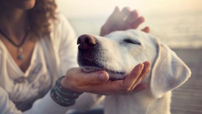 Little Acts Of Kindness To Include In Your Daily Life
