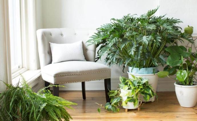 7 Ways To Spice Up Any Room