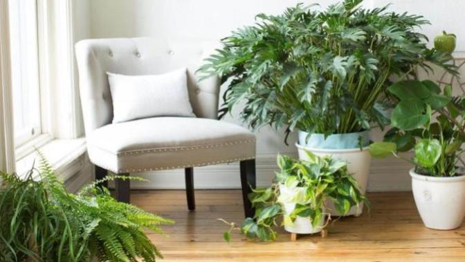 7 Ways To Spice Up Any Room