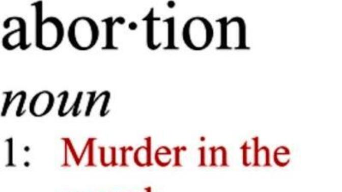 It's A Woman's Responsibility Not To Get Pregnant If She Isn't Willing To Assume The Consequences