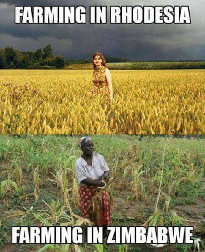 Black History Month. Robert Mugabe hero of Africa who defeated & threw the white overlords out of Zimbabwe!!
