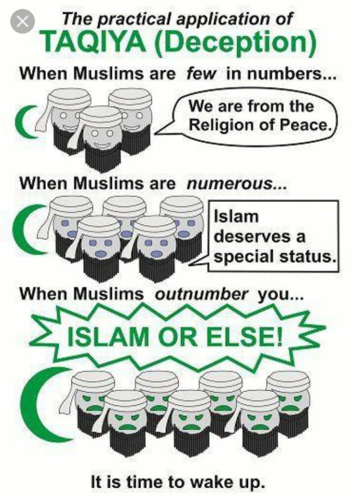 How a trip to Barcelona changed my perception of Muslims.