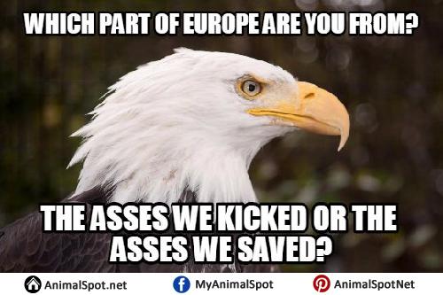 G@G Trolls I'd like to thank...