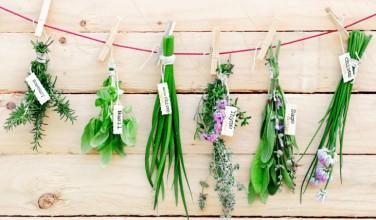 Using your gardening for cleaning