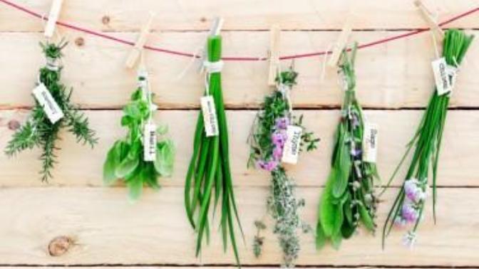 The Spring Garden's Tea Time