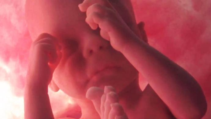 Why I recently became pro-life!