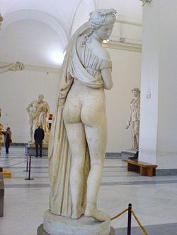 Sorry Girls, the PERFECT female body is genetically MALE!