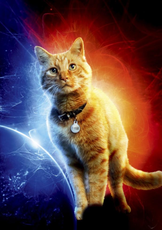 My review of Captain Marvel (2019)
