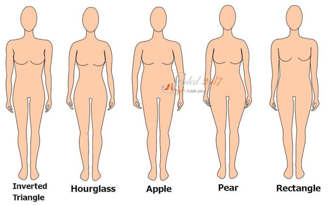 Common Body Shapes