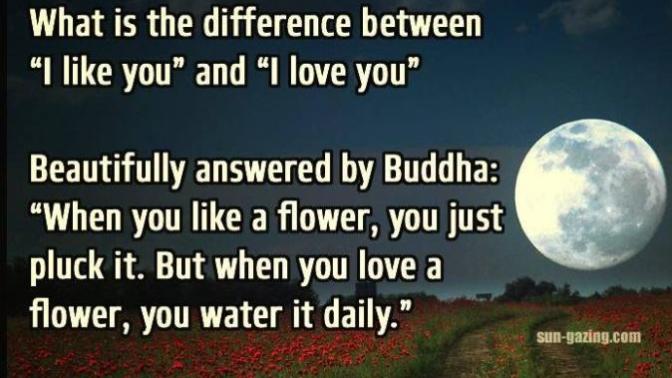 Love is the absence of judgement!