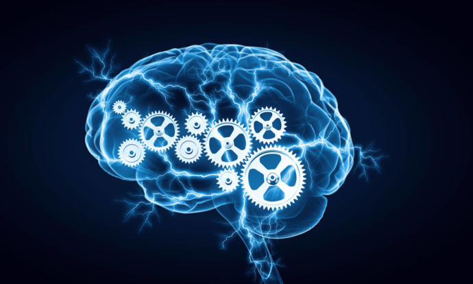 This is how i imagine normal working brains to be