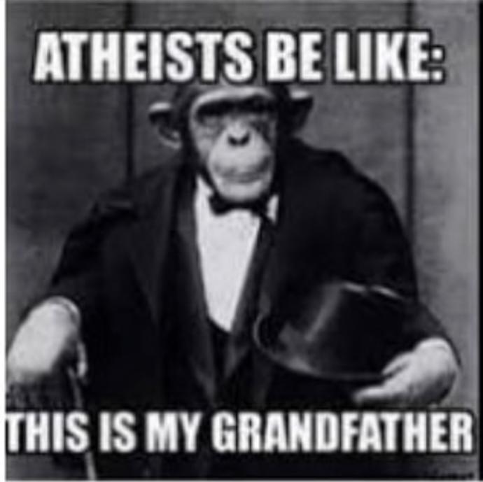 Delineating Humans And Apes