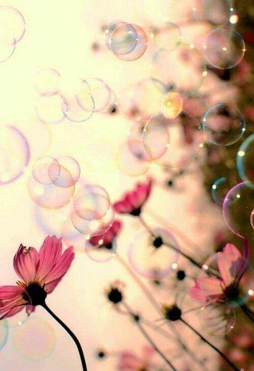the best world isn't something to find, but something to create...
