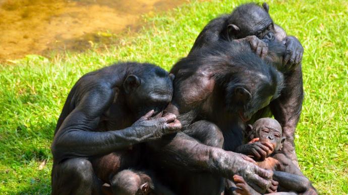 This shouldn't need saying, but apparently it does. Humans are not dogs. [On Alphas]